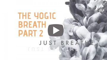 The-Yogic-Breath-school-web-1080×675