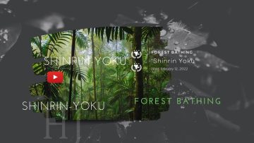 2022-Shinrin-Yoku-1.jpg