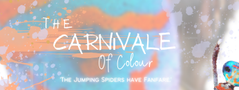 The-Carnivale-of-Colour.png